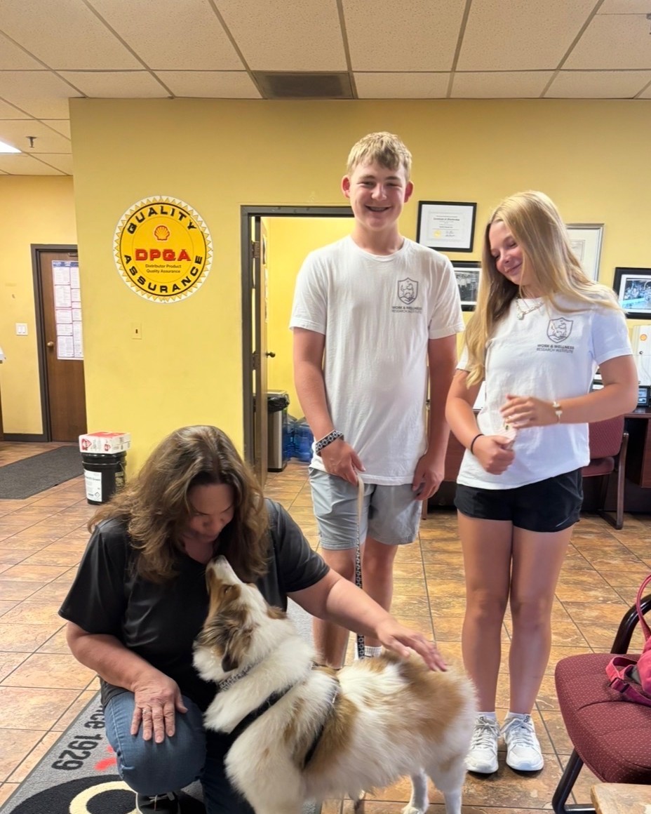A therapy dog visiting the team during a workplace session