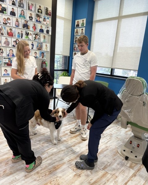 Staff and the co-founders with the therapy dog at Spring Orthodontics